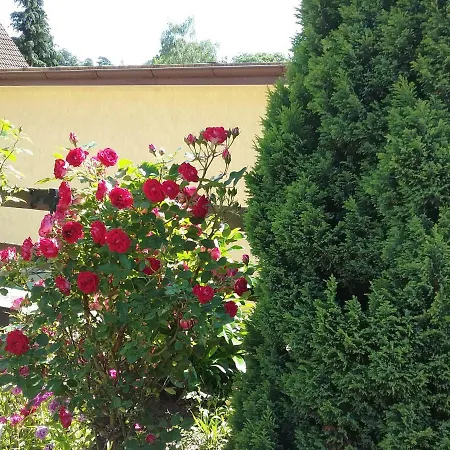 Haus Granitz * ゼリン